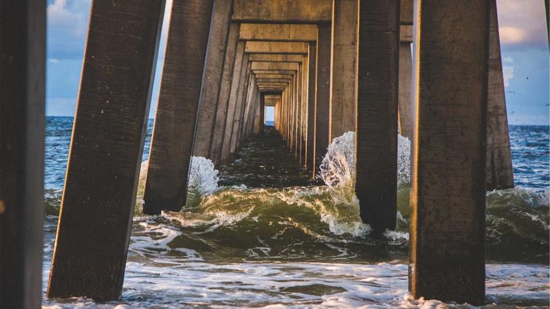 某生物研究所使用科研导航系统后文献检索效率提升300%
